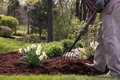Guide to Spring and Fall Clean-Up Services