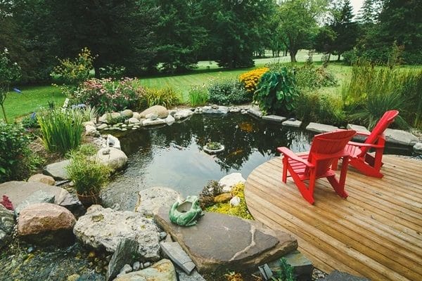 Transform Your Pond with Easy Add-On Features
