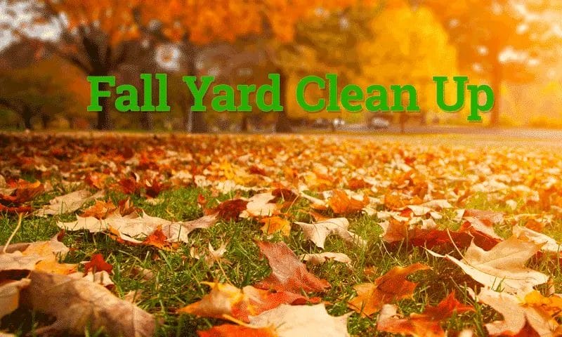 Trends to Look Out for Spring