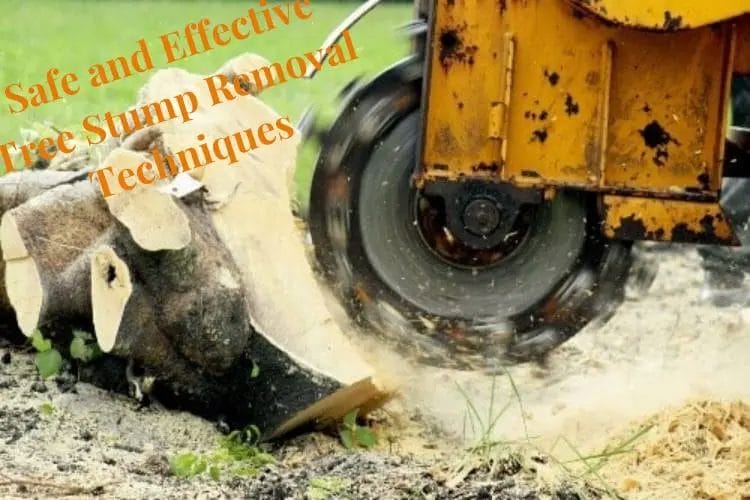 Safe and Effective Tree Stump Removal Techniques
