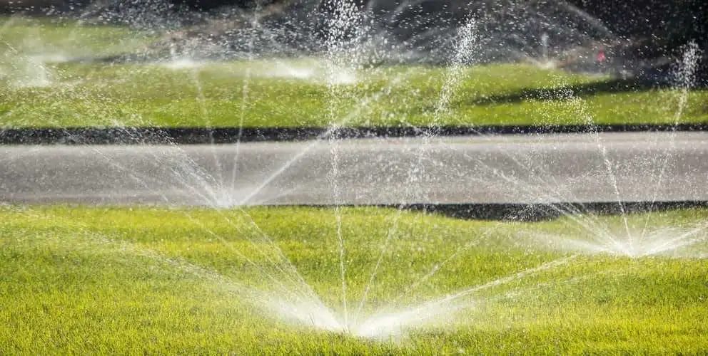 Stay Green The Comprehensive Guide to Irrigation