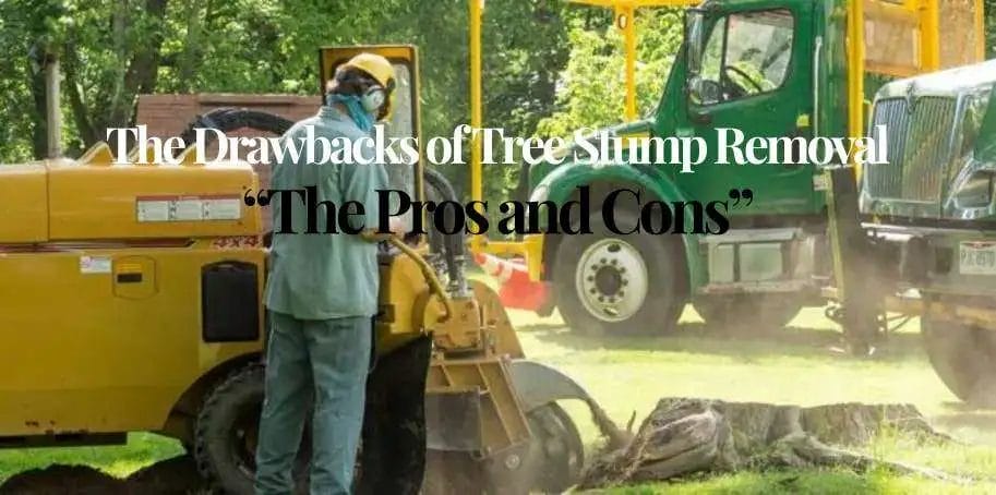 Why Is Tree Stump Removal Necessary