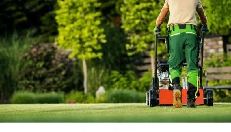 What's the Real Cost of Professional Landscaping?