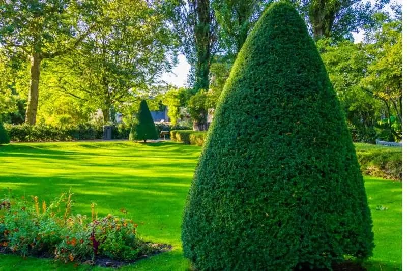Tree Trimming Cost Guide for Your Landscaping Needs
