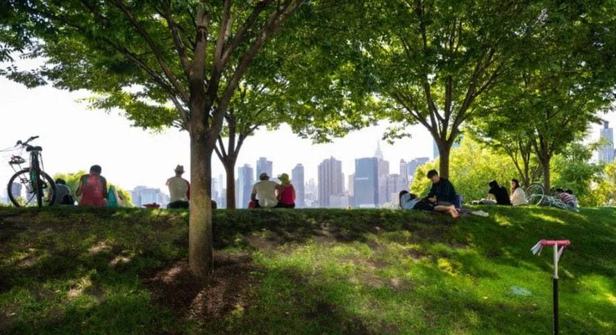 Trees - Key for Your Home and Community