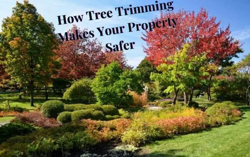 How Tree Trimming Makes Your Property Safer