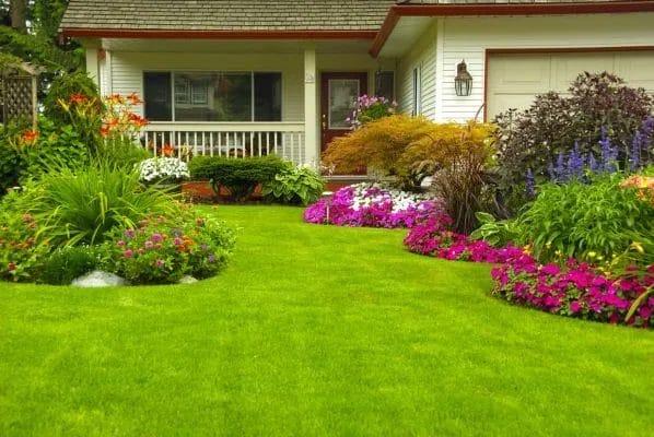 Enhance Your Outdoor Space Explore Professional Planting and Softscape Installation Services!