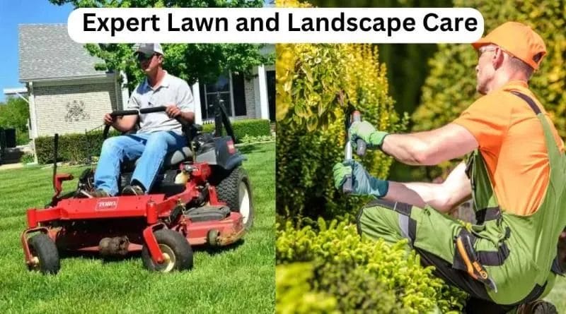 Give Your Yard a Makeover Discover Expert Lawn and Landscape Care