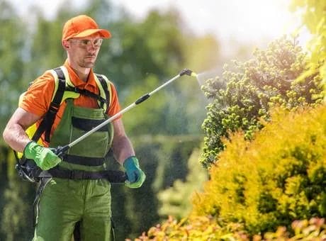 Must-Know Seasonal Tree Care Tips from Smith Brothers Landscape and Tree Services!