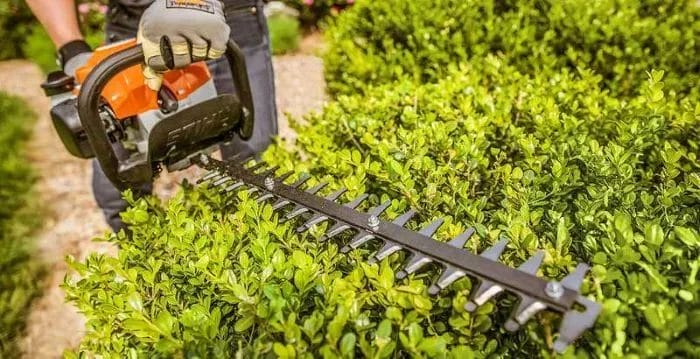 Expert Removal and Precision Pruning with Care by Smith Brothers Landscape and Tree Services!