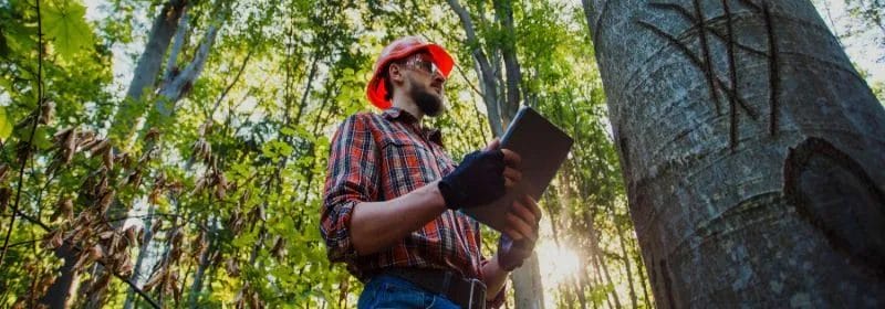 THE SECRET FORMULA FOR EFFECTIVE PROJECT MANAGEMENT