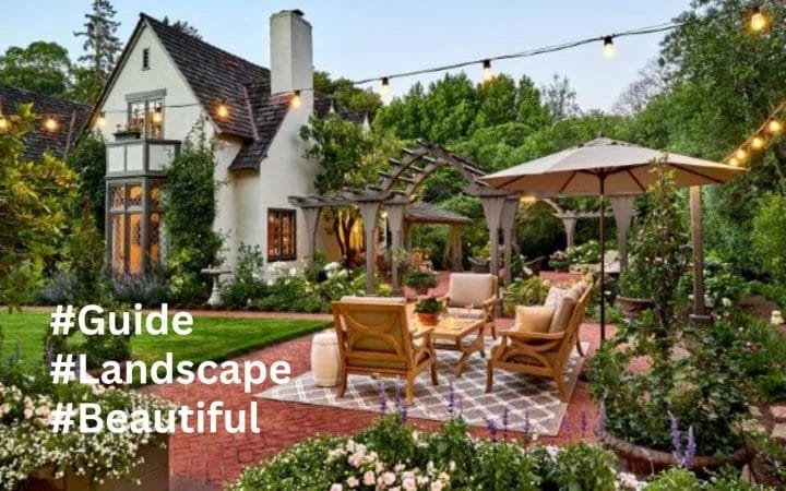 A Step-by-Step Guide to Beautiful Landscape Design