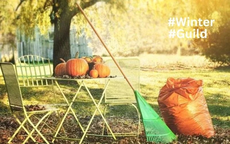 Essential Winter Wisdom A Seasonal Guide to Lawn and Landscape Care