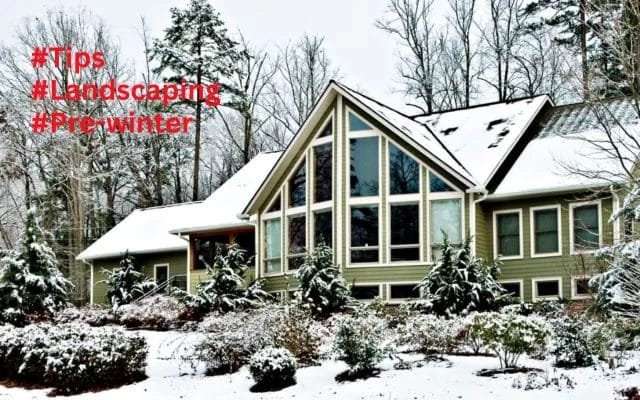 Protect and Beautify Essential Pre-Winter Landscaping Tips