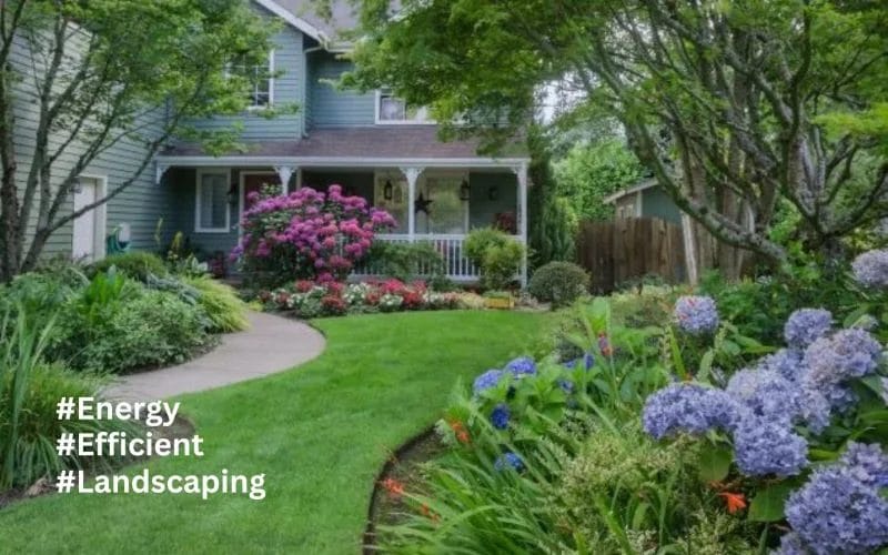 Energy Efficient Landscaping Tips To Lower Home Energy Bills