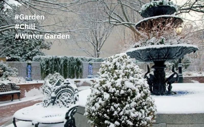 Embracing the Chill A Guide to Thriving in Your Winter Garden