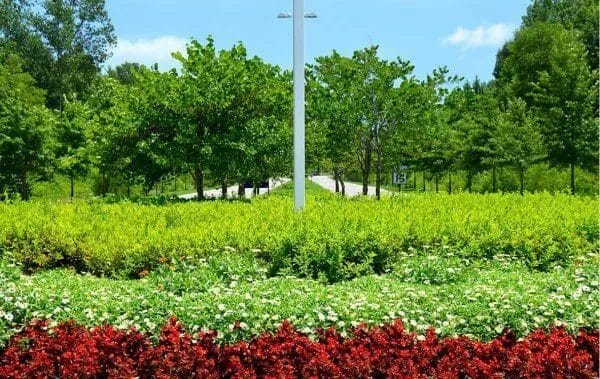 Devastating Landscaping Mistakes 3 Devastating Landscaping Mistakes 2