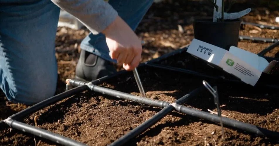 Healthy Garden Soil Testing 3 Garden Soil Testing 2