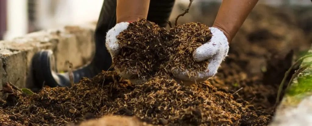 Healthy Garden Soil Testing 5 Garden Soil Testing 4