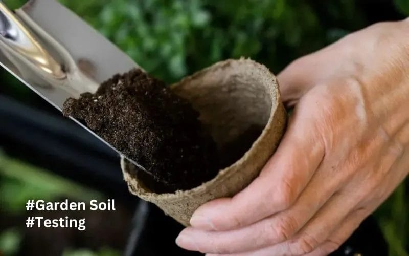 Healthy Garden Soil Testing