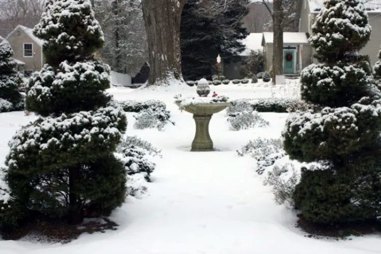 How to Create a Winter Interest Garden for Year-Round Beauty 2 How to Create a Winter Interest Garden for Year Round Beauty 1