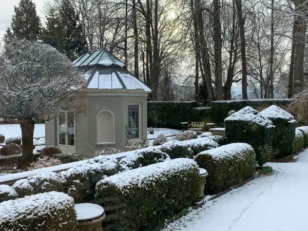 How to Create a Winter Interest Garden for Year-Round Beauty 3 How to Create a Winter Interest Garden for Year Round Beauty 2