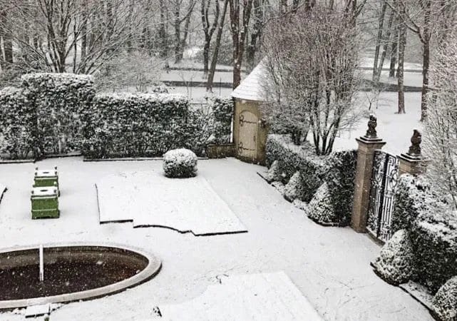 How to Create a Winter Interest Garden for Year-Round Beauty 5 How to Create a Winter Interest Garden for Year Round Beauty 4