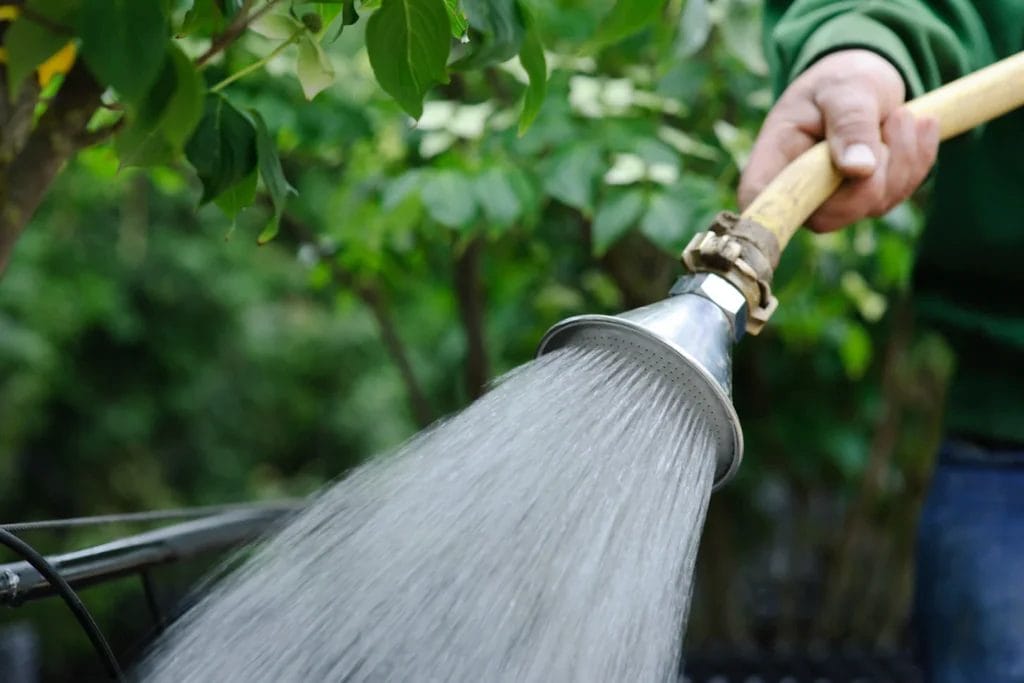 Thrive with Winter Pruning: Unleash Growth! 7 Thrive with Winter Pruning Unleash Growth 5