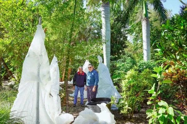 Winter Maintenance Care 4 Winter Landscape Maintenance 4