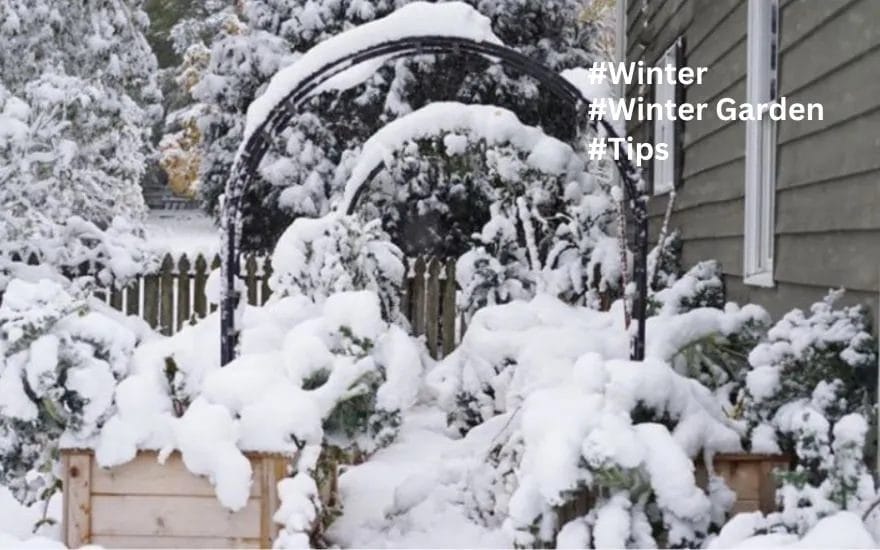 Essential Winter Garden Maintenance Tips for a Thriving Landscape