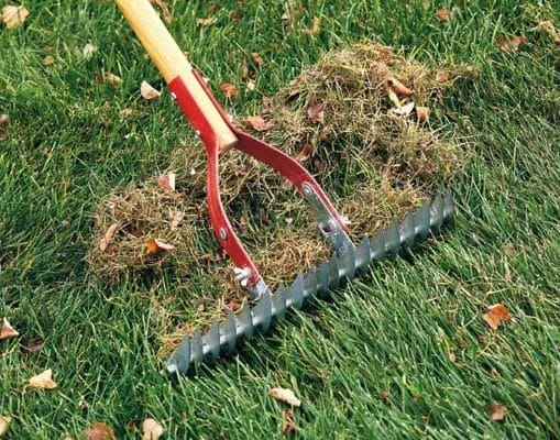 5 Easy Steps to Refresh Your Landscape for Spring 3 5 Key Steps to Get Your Landscape Spring Ready 4