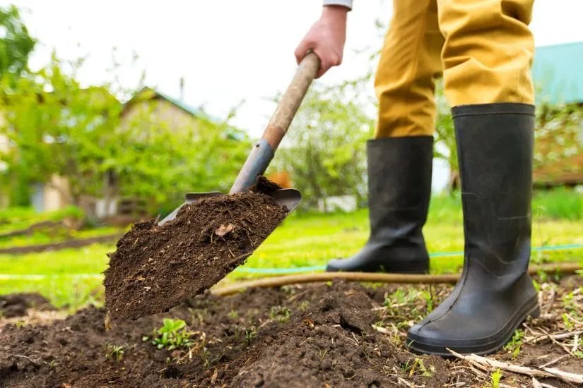 5 Easy Steps to Refresh Your Landscape for Spring 4 5 Key Steps to Get Your Landscape Spring Ready 5