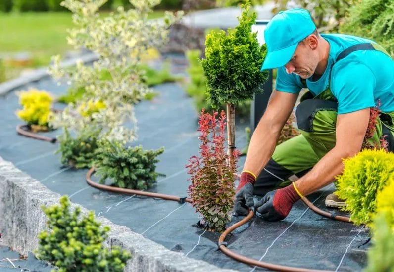 5 Easy Steps to Refresh Your Landscape for Spring 6 5 Key Steps to Get Your Landscape Spring Ready 7