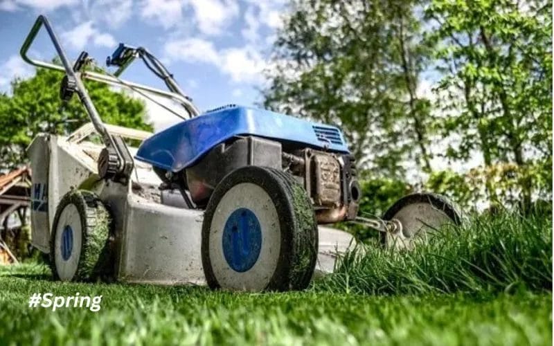 5 Key Steps to Get Your Landscape Spring-Ready