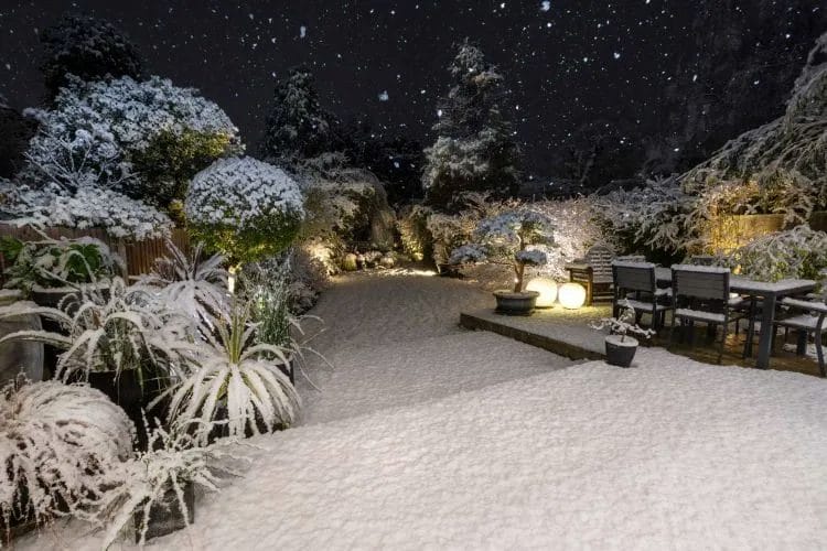 Boost and Ignite Winter Curb Appeal 3 Boost and Ignite Winter Curb Appeal 2