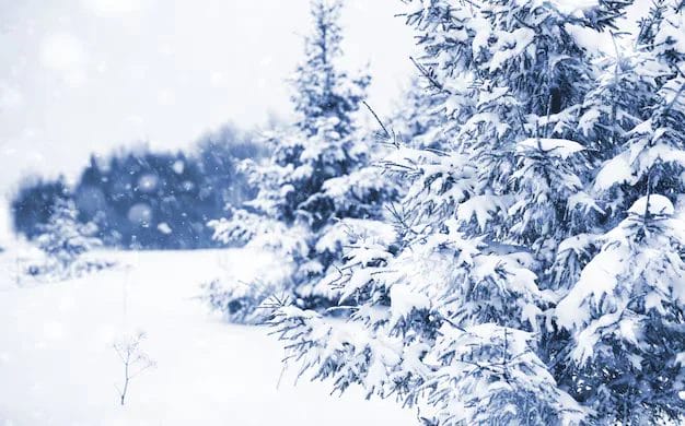 Boost and Ignite Winter Curb Appeal 4 Boost and Ignite Winter Curb Appeal 3