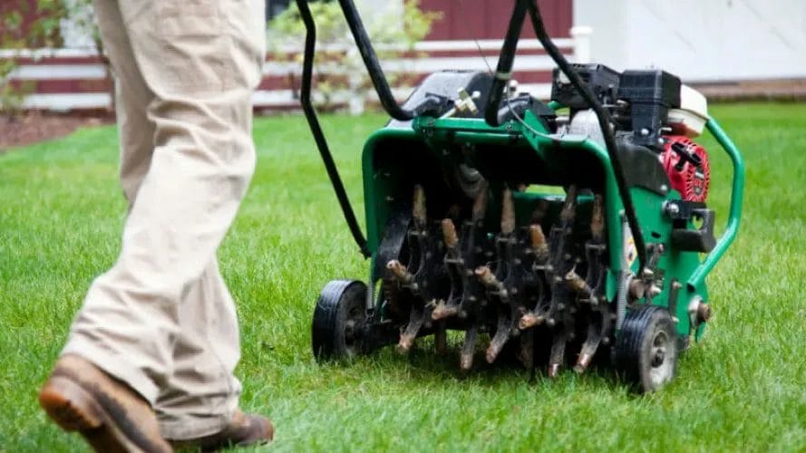 Revive Your Lawn & Yard for Spring: A Simple 7-Step Guide 4 Revive Your Lawn Yard for Spring A Simple 7 Step Guide 3