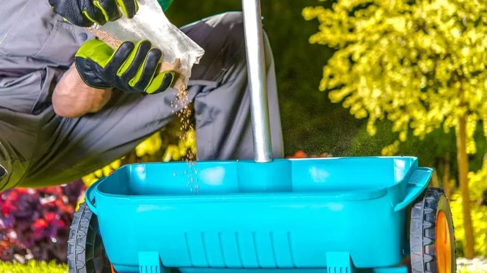 Revive Your Lawn & Yard for Spring: A Simple 7-Step Guide 5 Revive Your Lawn Yard for Spring A Simple 7 Step Guide 4