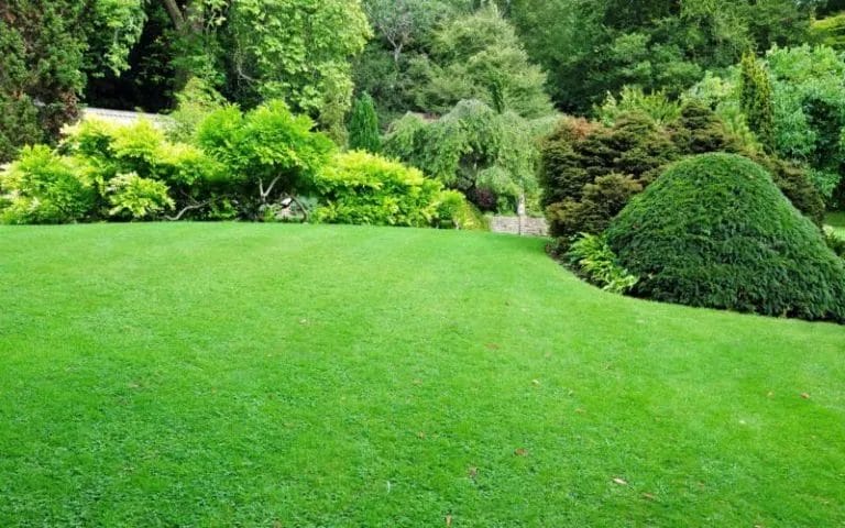 Why Regular Mowing Matters: The Secret to a Lush Lawn 2 Why Regular Mowing Matters The Secret to a Lush Lawn 1