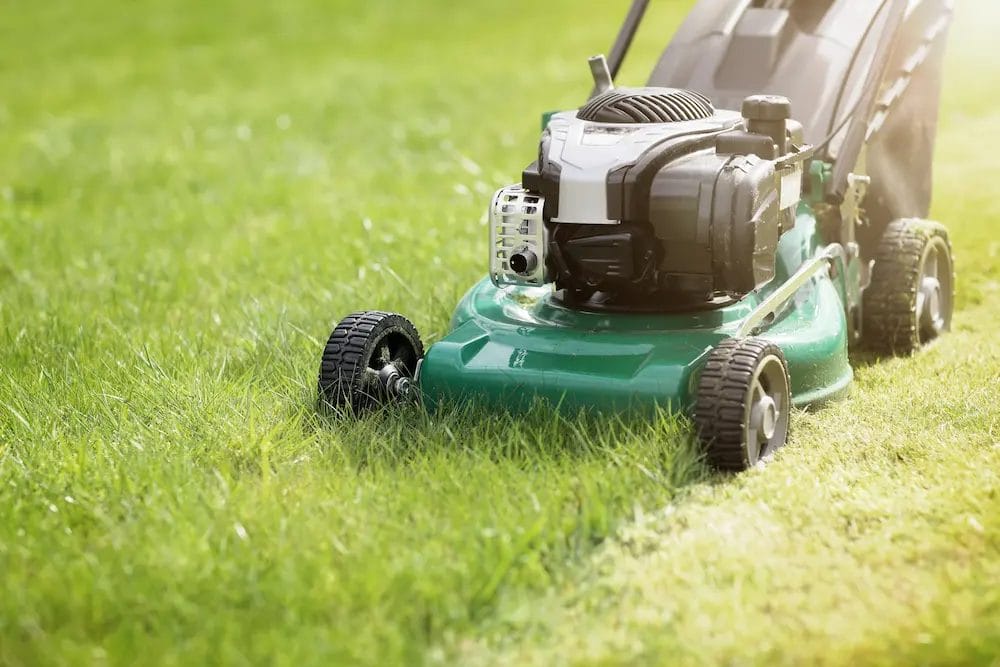 Why Regular Mowing Matters: The Secret to a Lush Lawn 4 Why Regular Mowing Matters The Secret to a Lush Lawn 3