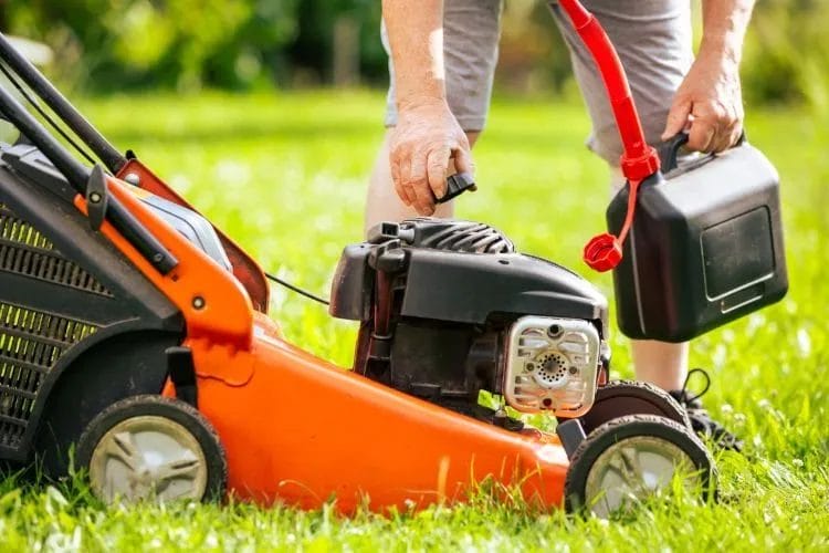 Why Regular Mowing Matters: The Secret to a Lush Lawn 5 Why Regular Mowing Matters The Secret to a Lush Lawn 4