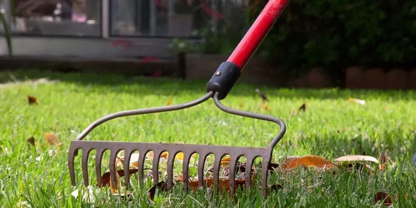 Why Winter Lawn Care Matters: Keep Your Grass Healthy Year-Round 3 Why Winter Lawn Care Matters Keep Your Grass Healthy Year Round 2