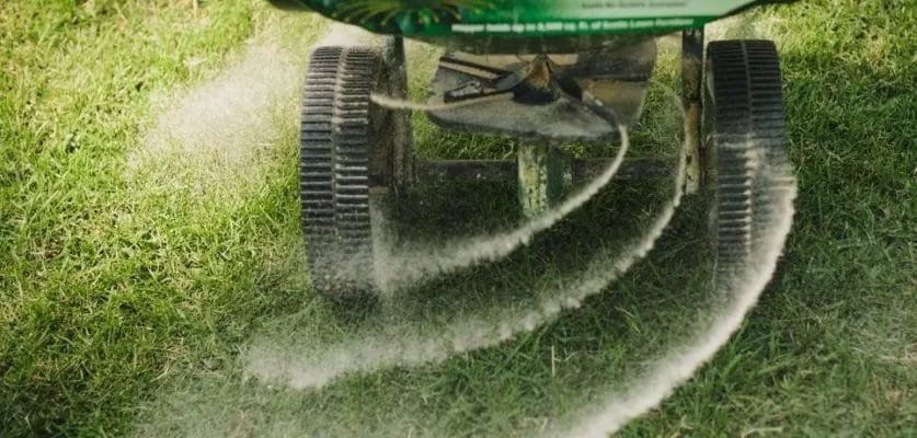 Why Winter Lawn Care Matters: Keep Your Grass Healthy Year-Round 4 Why Winter Lawn Care Matters Keep Your Grass Healthy Year Round 3