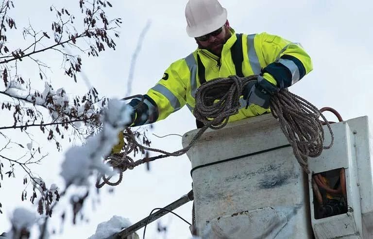 Why Winter Lawn Care Matters: Keep Your Grass Healthy Year-Round 5 Why Winter Lawn Care Matters Keep Your Grass Healthy Year Round 4