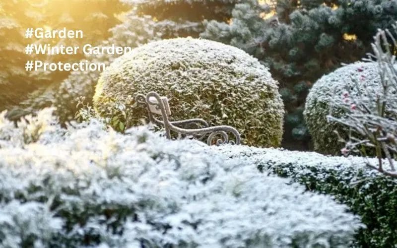 Winter Essential Garden Protection