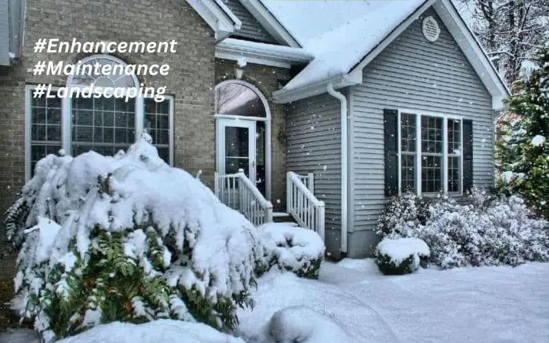 Winter Landscaping Essential Maintenance & Enhancement