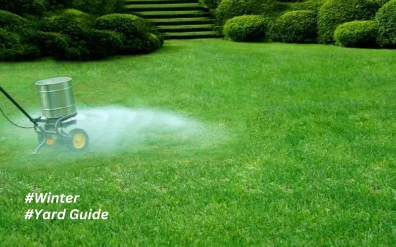 Winter Lawn Care A Healthy Yard Guide