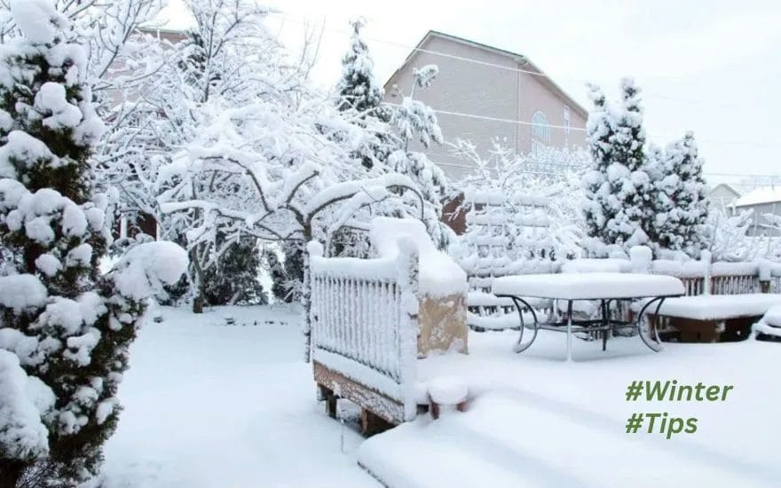 Winter Landscaping Your Brilliant Outdoor Space Tips