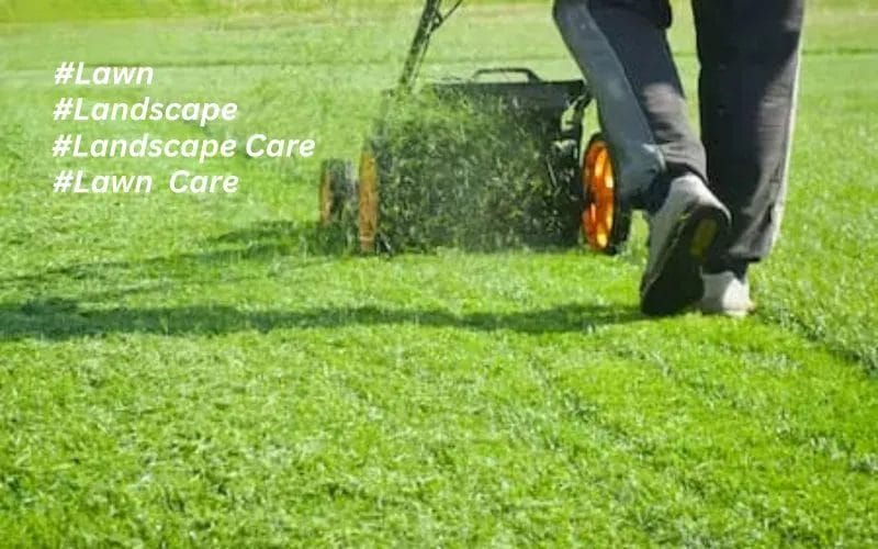 Ultimate Winter Lawn and Landscape Care