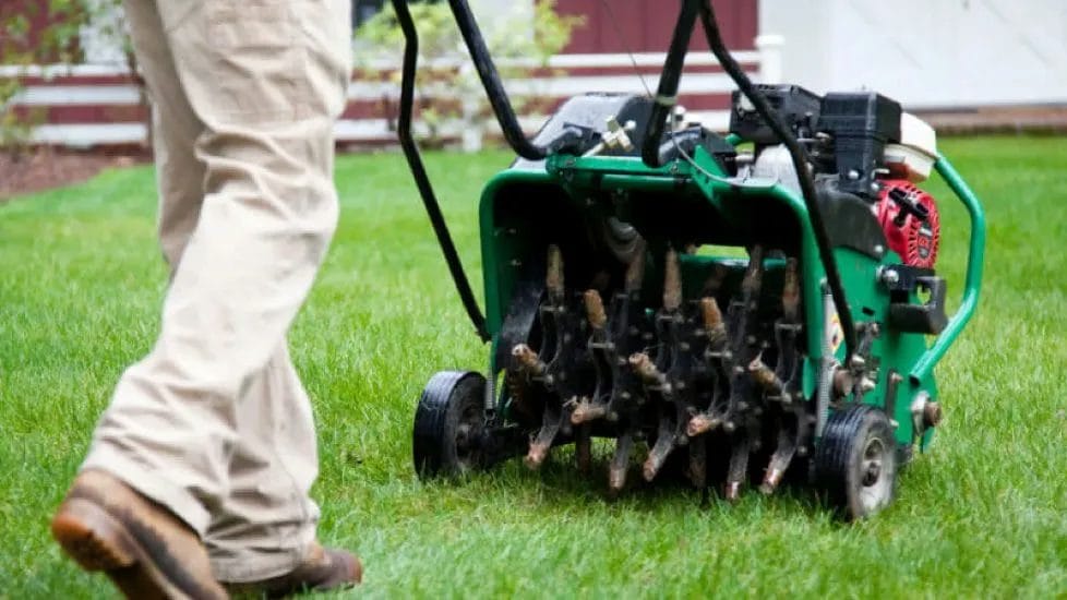 Essential Lawn Care: Aerating, Overseeding & Fertilizing for a Lush Yard 2 Essential Lawn Care Aerating Overseeding Fertilizing for a Lush Yard 1